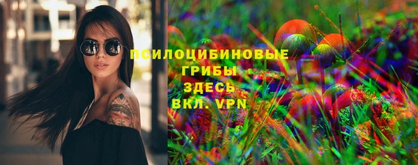 стаф Алексеевка