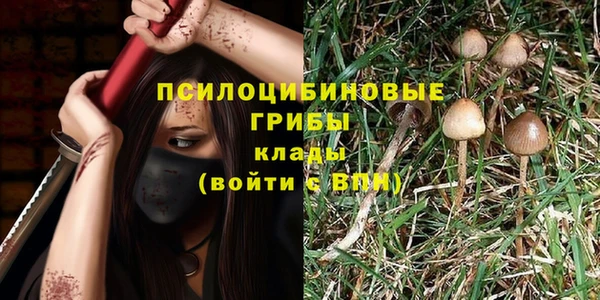 стаф Алексеевка